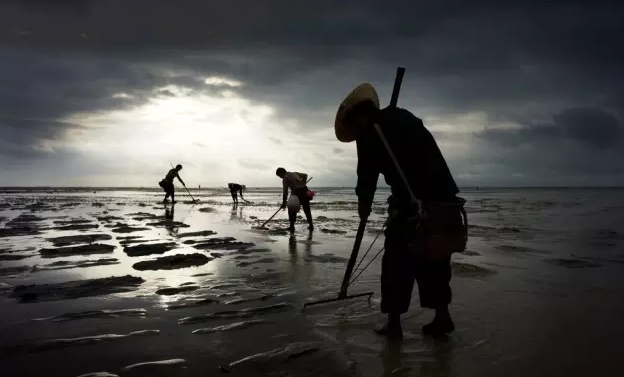 �����������V������������