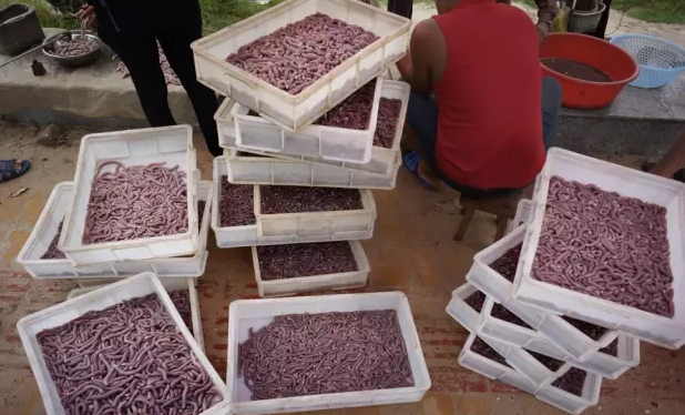 �����������V������������