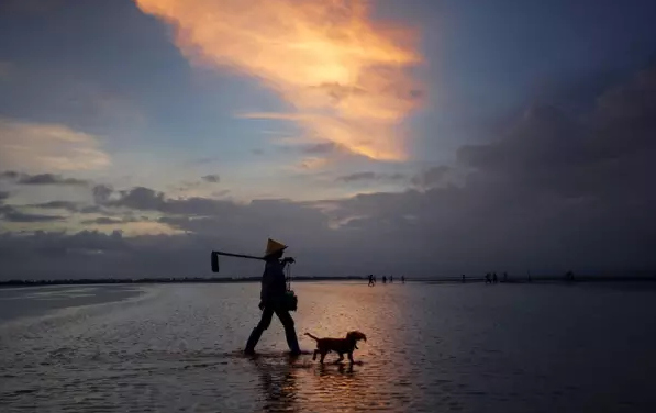 �����������V������������