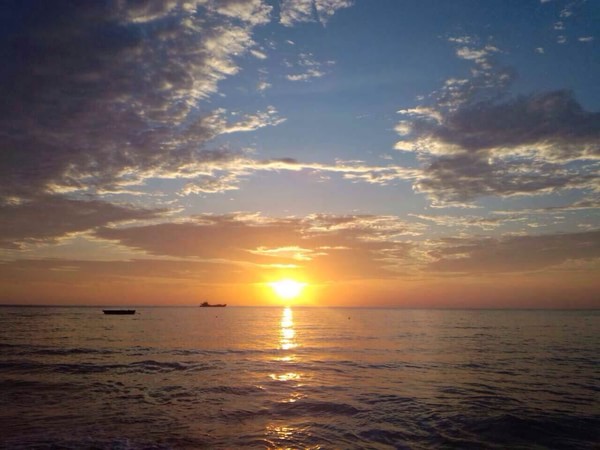 �����������V������������