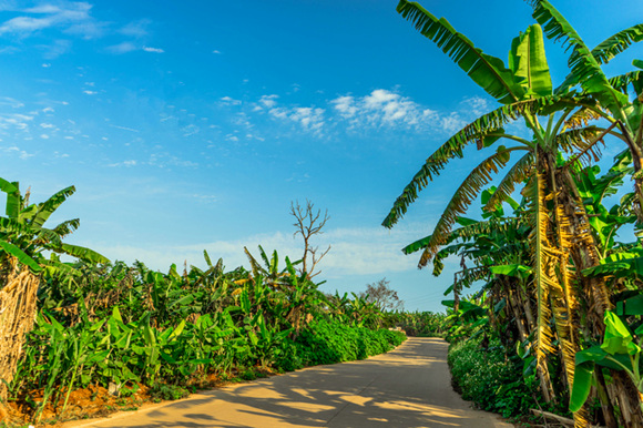 �����������V������������