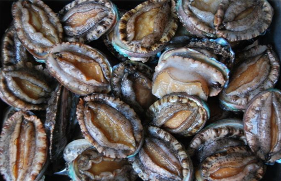 ���������r���V������������