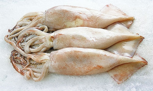 ���������r���V������������