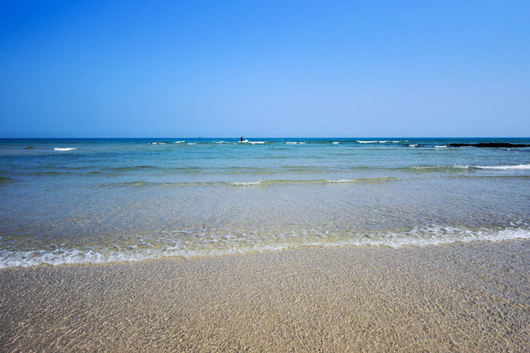 ���������ލu���V������������