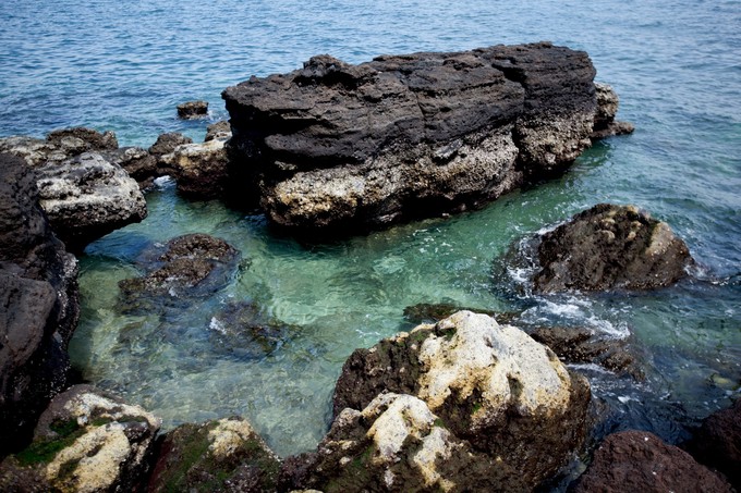 ���������ލu���V������������