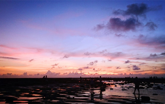 ���������ލu���V������������