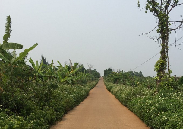 ���������ލu���V������������