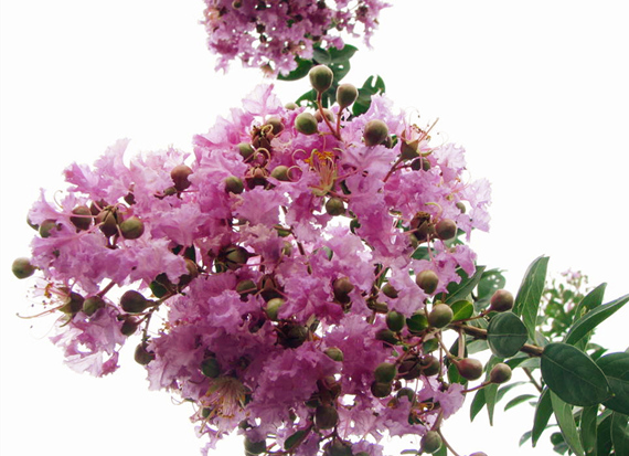 �����������V������������