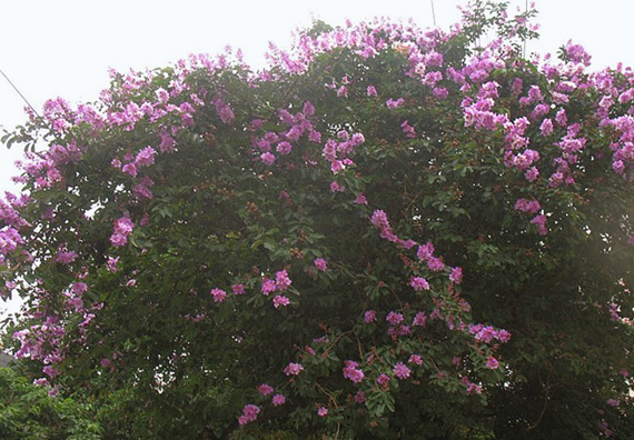 �����������V������������