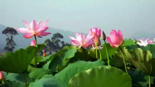 �����������V������������