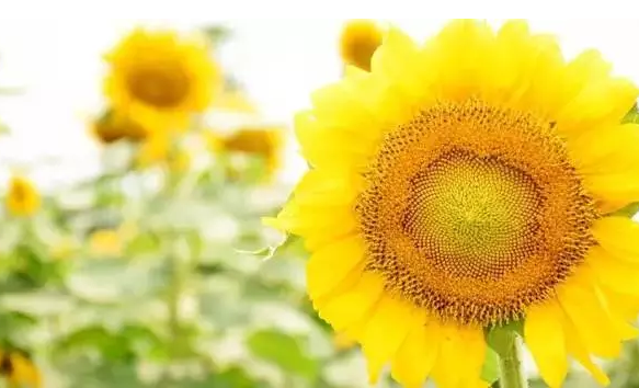 �����������V������������