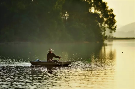 �����������V������������