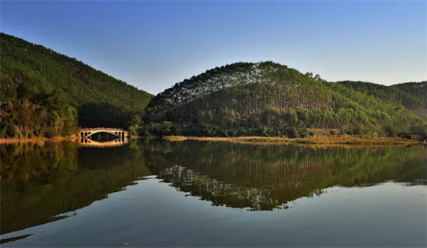 �����������V������������