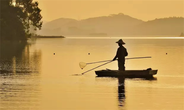 �����������V������������