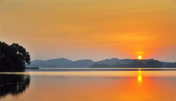 �����������V������������