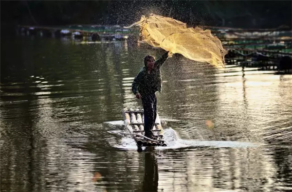 �����������V������������