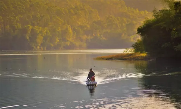 �����������V������������