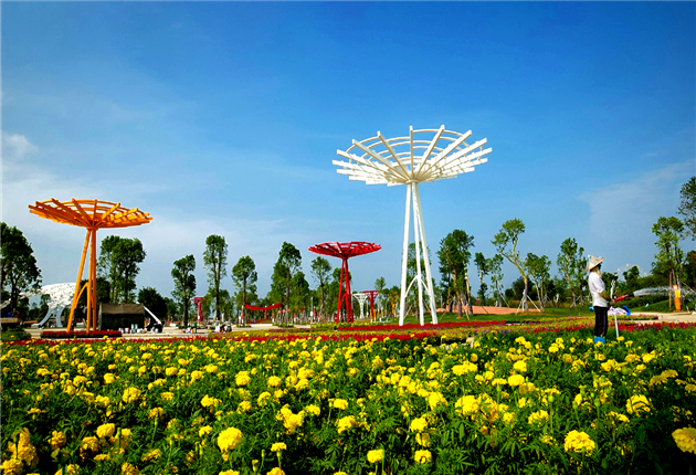 �V������������ ��������