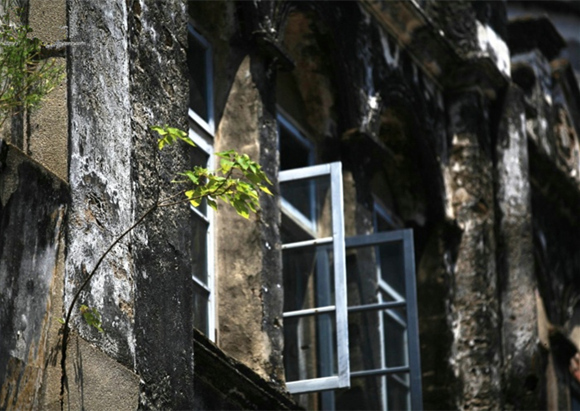 �����Ͻ֣��V������������