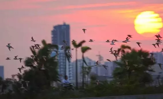 �������Σ��V������������