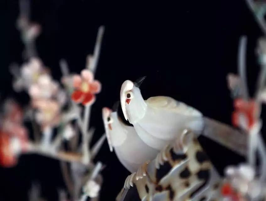 �������Σ��V������������