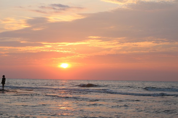 �V������������ �������ލu����