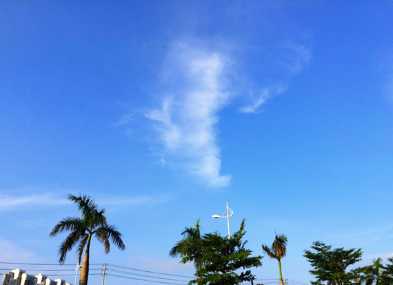 �������V������������