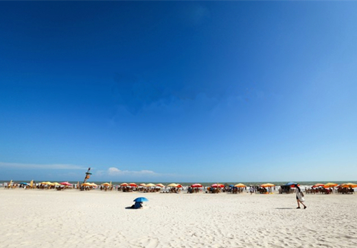 �������V������������