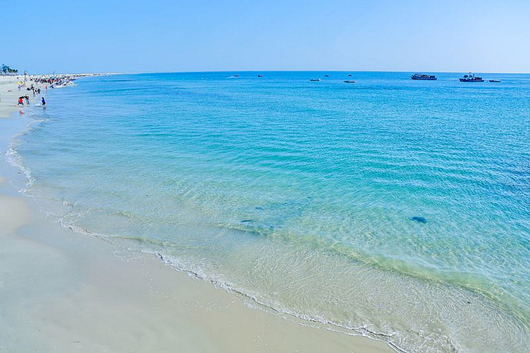 �������V������������