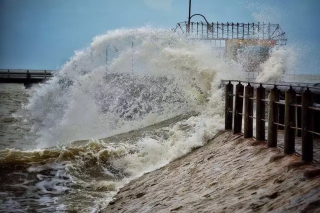 �������V������������