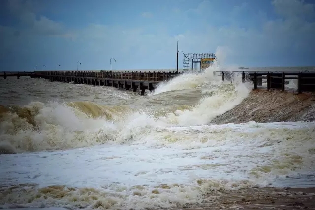 �������V������������