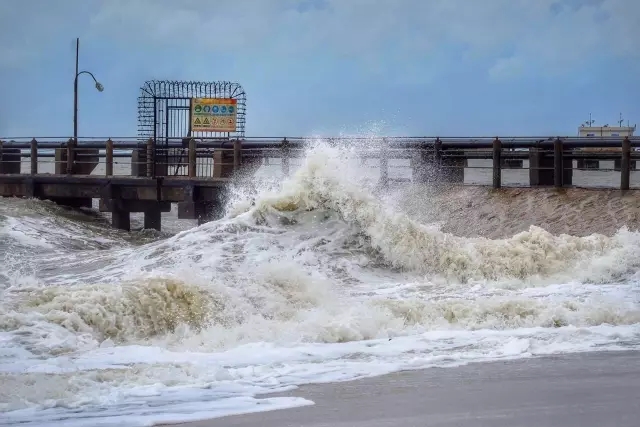 �������V������������