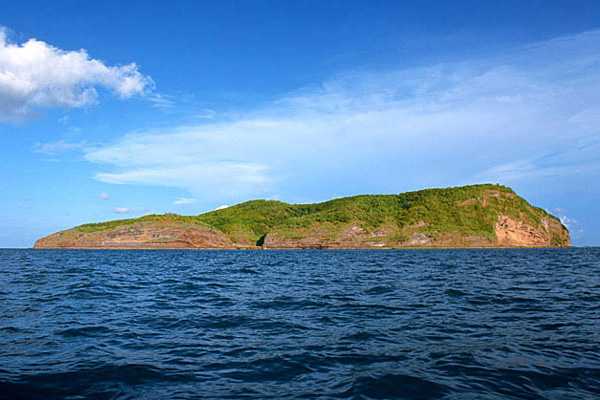 �����������V������������