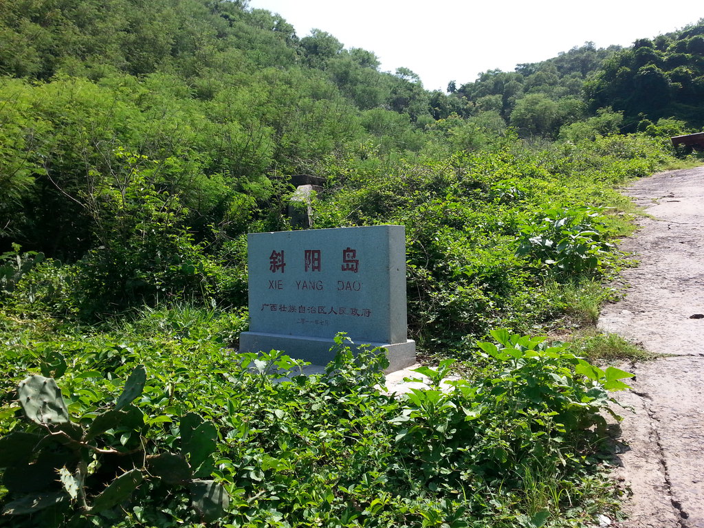 �����������V������������