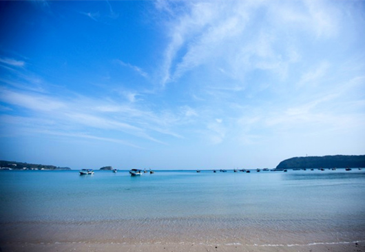 ���ލu�������V������������