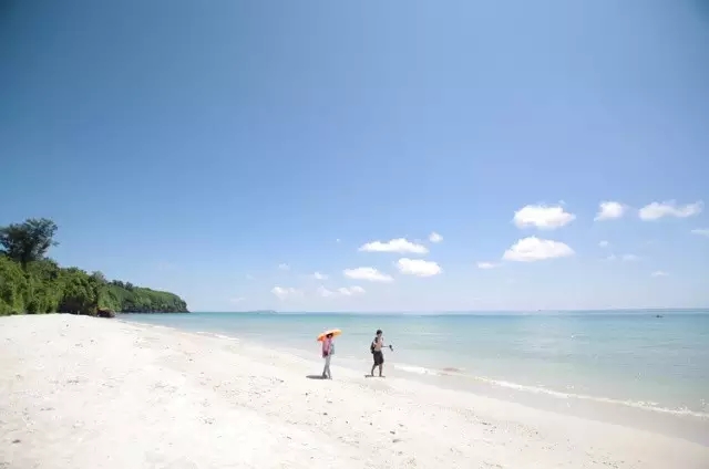 ���ލu�������V������������