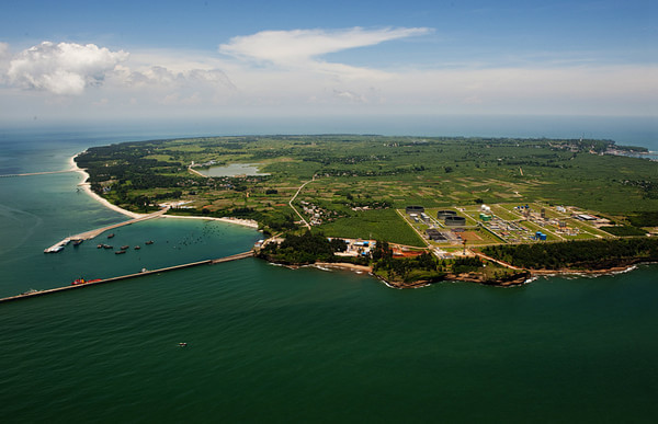 ���ލu�������V������������