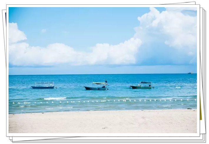 �������ލu���V������������