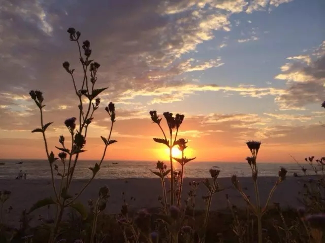 �����������V������������