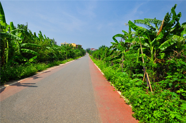 �������ލu���V������������