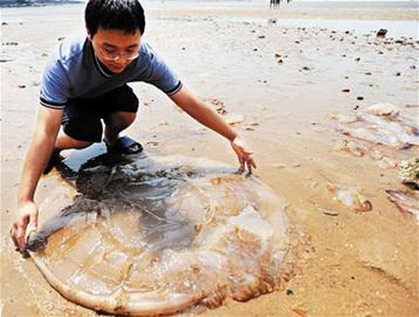 �����������V������������