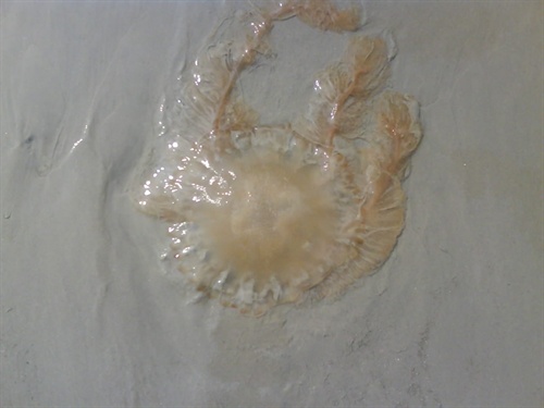 �����������V������������