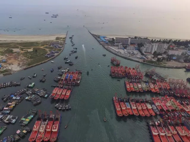 �����������V������������