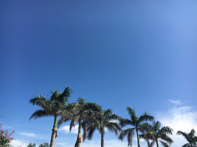 �����������y�����V������������