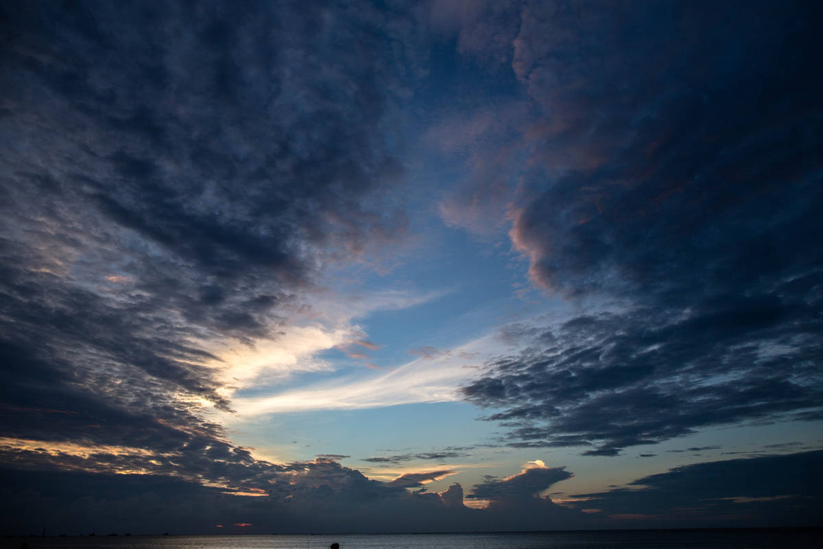 �����������V������������