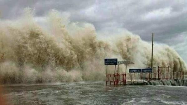 �����������V������������