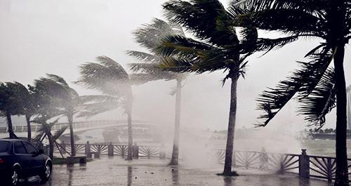 �����������V������������