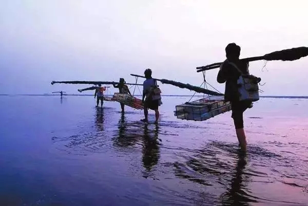 �������s�����V������������