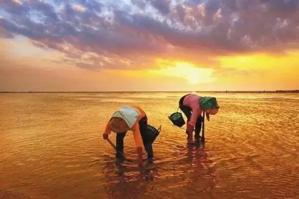 �������s�����V������������