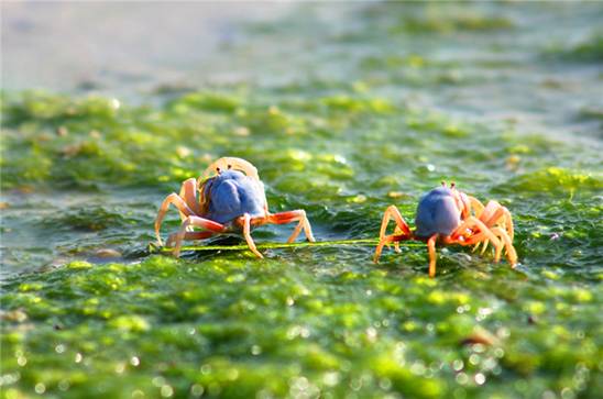 �������s�����V������������